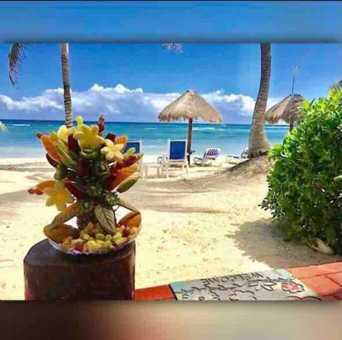 Beachfront Akumal Half Moon Bay 外观 照片